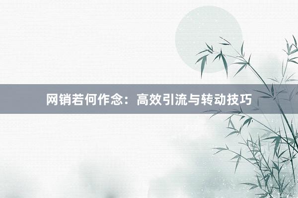 网销若何作念：高效引流与转动技巧