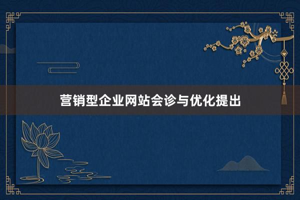 营销型企业网站会诊与优化提出
