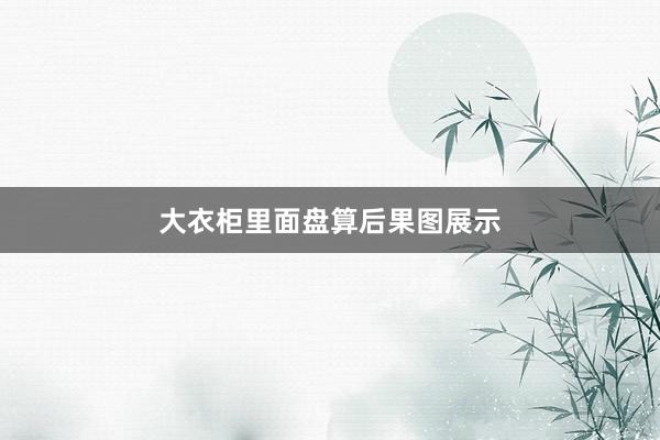 大衣柜里面盘算后果图展示