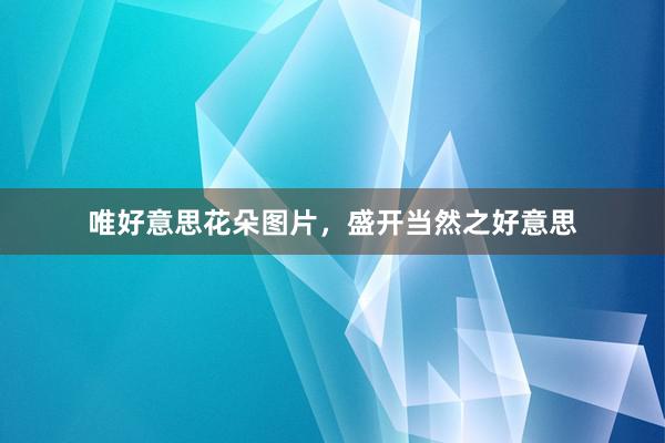 唯好意思花朵图片，盛开当然之好意思