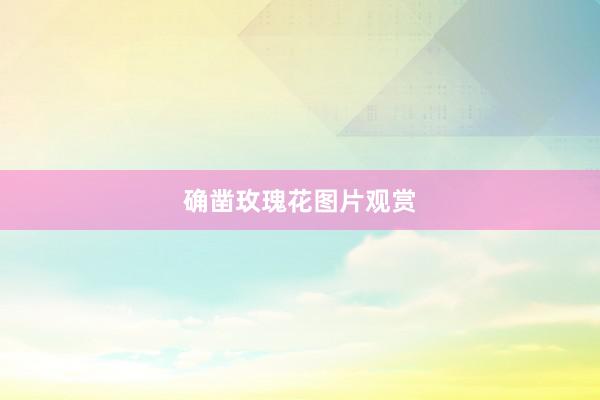 确凿玫瑰花图片观赏